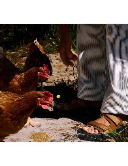 Sandália VEJA x HOMECORE masculina preta e marrom suede