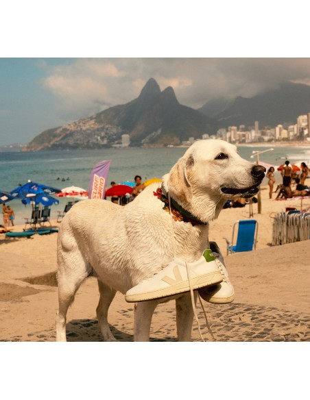 Tênis VEJA Feminino Urca Cwl Branco Pierre Kiwi VEJA - VERT Oficial