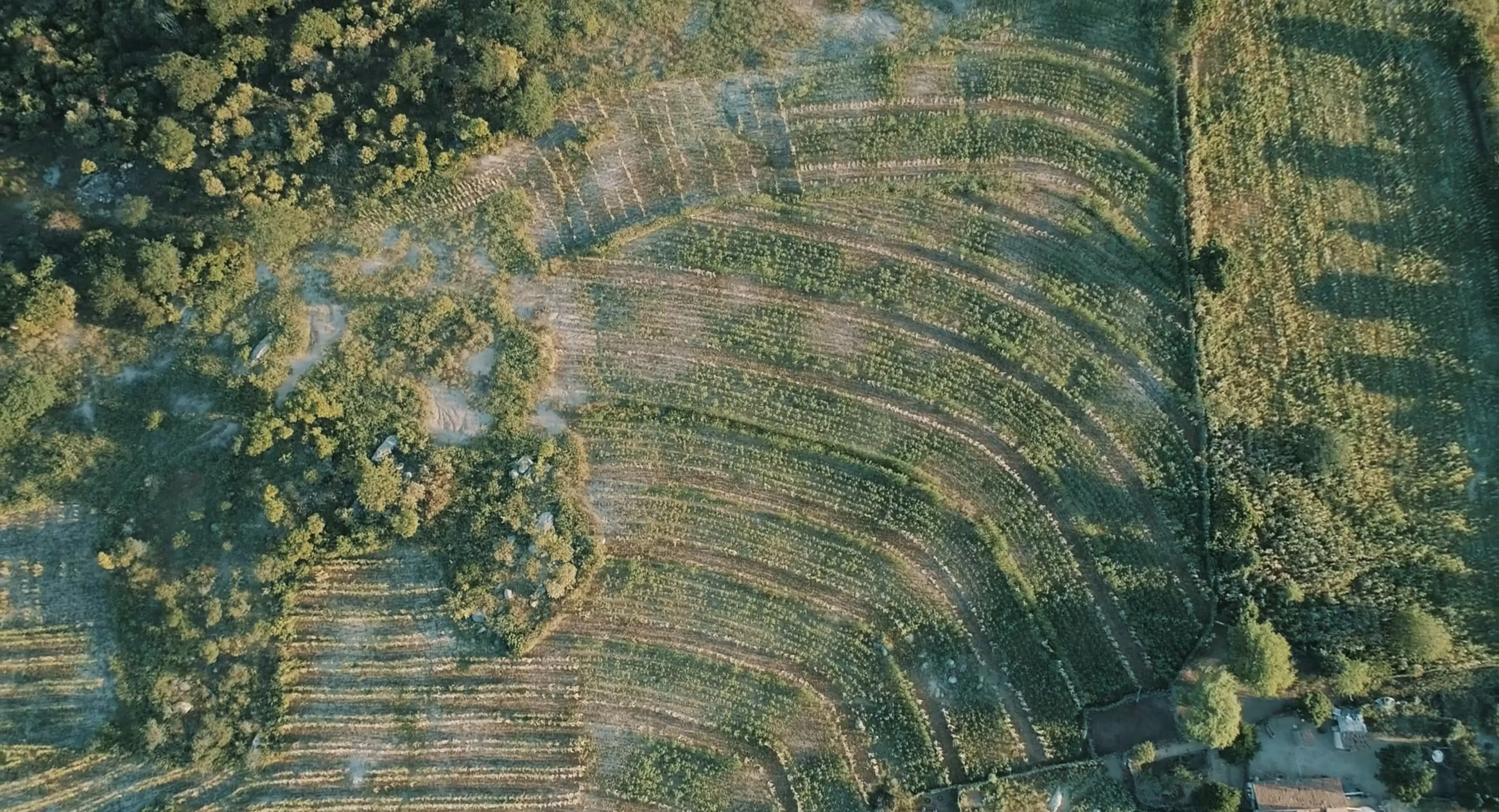 Imagem aérea do Ceará em 2016