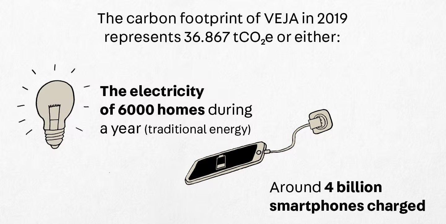 Resumo da pegada de carbono da VEJA em 2019
