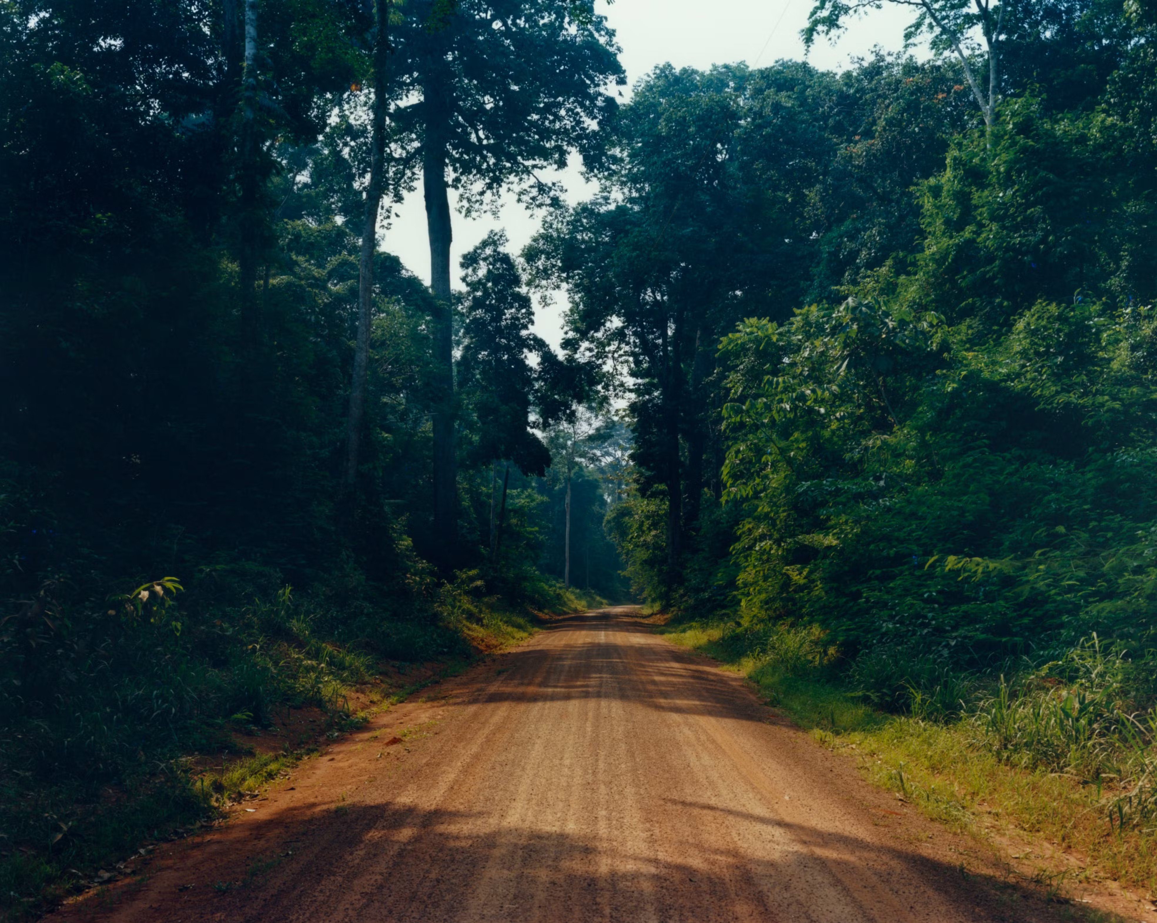 Paisagem no Acre