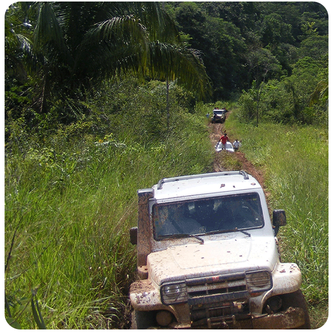 Carro VEJA em 2008 no Brasil